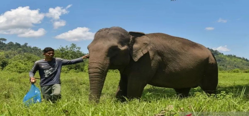 Potensi konservasi dan Edukasi